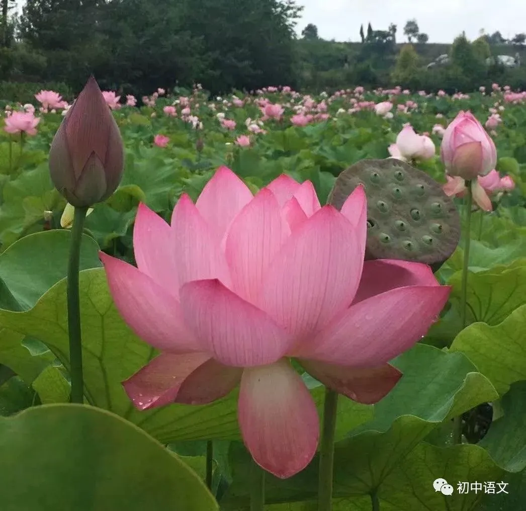 制定科学的篮球训练与休息计划_1